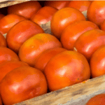 foodservice-distribution-inventory-optimization